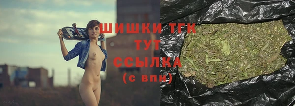 индика Балабаново