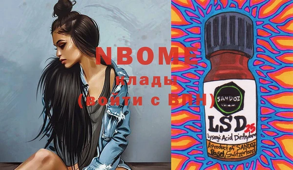 шишки Баксан