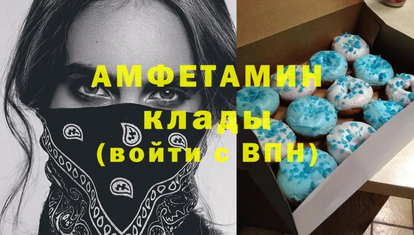 шишки Баксан