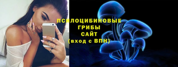индика Балабаново