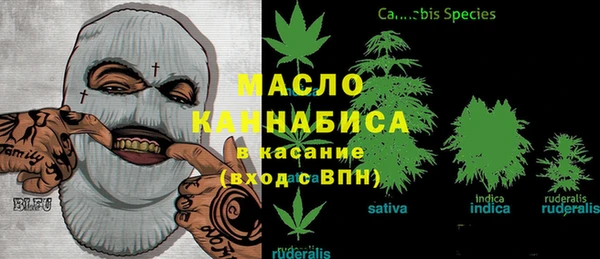 индика Балабаново