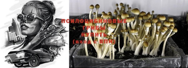 шишки Баксан