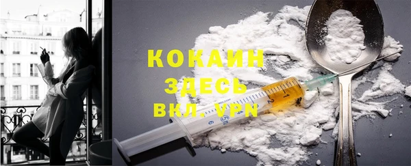шишки Баксан