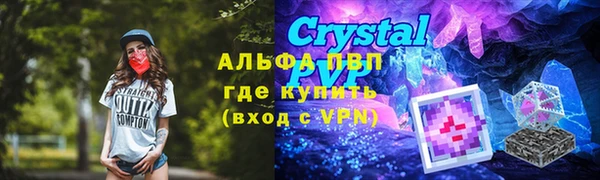 шишки Баксан