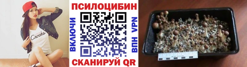 купить  цена  Любим  Галлюциногенные грибы прущие грибы 